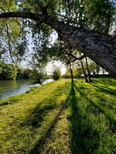 Photographie bord des cours d'eau de l'Ariège