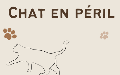 Escape Game : Mission sauvetage chat en péril !